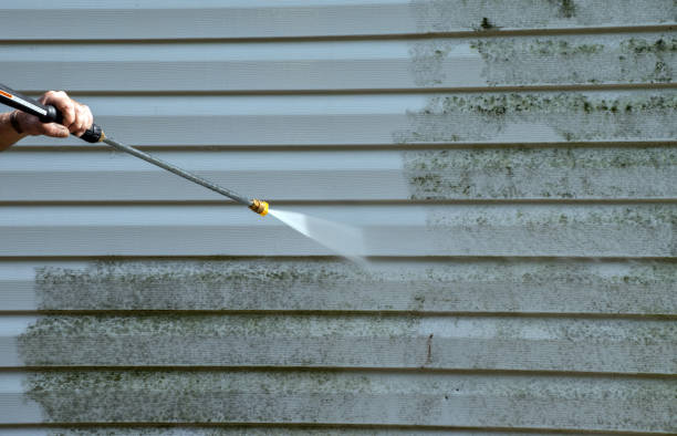 Best House Exterior Washing  in Sinton, TX